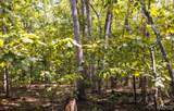 1 Buck Mountain Road - Photo 11