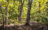 1 Buck Mountain Road - Photo 12