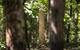 1 Buck Mountain Road - Photo 10