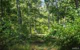 2 Buck Mountain Rd - Photo 8