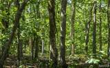 2 Buck Mountain Rd - Photo 9