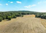 4 Buck Mountain Road - Photo 16