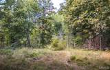 4 Buck Mountain Road - Photo 24