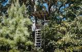 4 Buck Mountain Road - Photo 25
