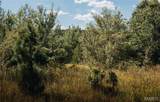 4 Buck Mountain Road - Photo 27