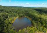4 Buck Mountain Road - Photo 6