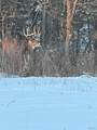 90 Jug Hollow Road - Photo 70
