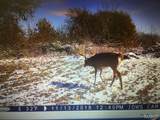 90 Jug Hollow Road - Photo 71