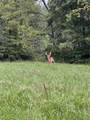 90 Jug Hollow Road - Photo 74