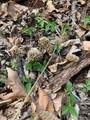 90 Jug Hollow Road - Photo 81