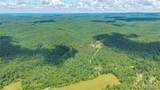 3211 County Road 118 - Photo 4