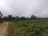 10 Tract 10 Off Hwy O - Photo 5