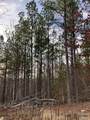 253 Madison Cr 410 - Photo 2