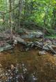 17197 Maries Road 318 - Photo 74