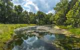 17197 Maries Road 318 - Photo 77