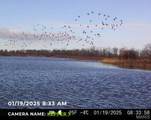 000 County Road 732 - Photo 10