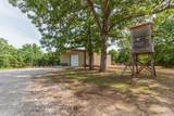 25585 Misty Oak Drive - Photo 1