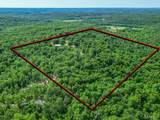 25585 Misty Oak Drive - Photo 14
