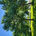 310 Linn Street - Photo 6