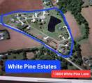 13884 White Pine Lane - Photo 10