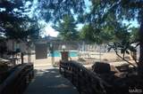 10174 Sakura Drive - Photo 3