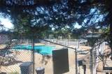 10174 Sakura Drive - Photo 22