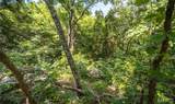 2384 Tea Road - Photo 52