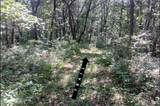 0 Silver Creek Rd - Photo 13