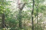 0 Silver Creek Rd - Photo 14