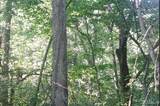 0 Silver Creek Rd - Photo 17