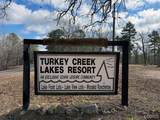 25 Acres - Photo 1