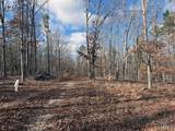 25 Acres - Photo 6