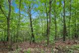 9 acres Clermont Drive - Photo 2