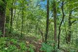 9 acres Clermont Drive - Photo 4