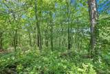 9.41 acres Clermont Drive - Photo 9