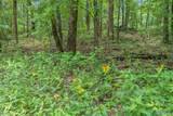 6.26 acres Mississippi Queen Court - Photo 2