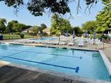 640 Painted Vista Drive - Photo 40