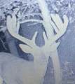 00 TBD Jubilee - Photo 14