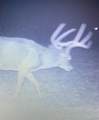 00 TBD Jubilee - Photo 15