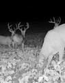 00 TBD Jubilee - Photo 16