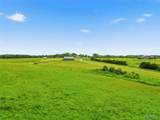 29601 Bueltmann Road - Photo 60