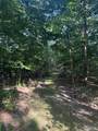 25484 Sky Drive - Photo 41