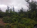 Tract 4 Off Highway O - Photo 2