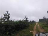 3 Tract 3 Off Highway O - Photo 3