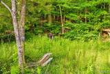 21530 Highway 49 - Photo 85