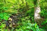 21530 Highway 49 - Photo 87