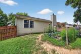 4826 Cedar Spring Drive - Photo 38
