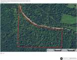 000 Czar Tower Road - Photo 4