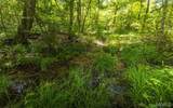 000 Czar Tower Road - Photo 6