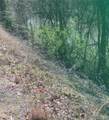 55 Hwy E-Veterans Highway - Photo 3